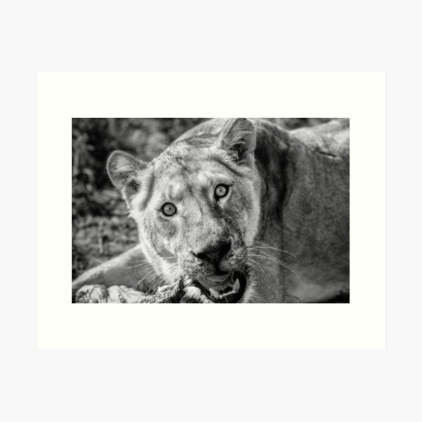 Expressions in nature # 3 Art Print