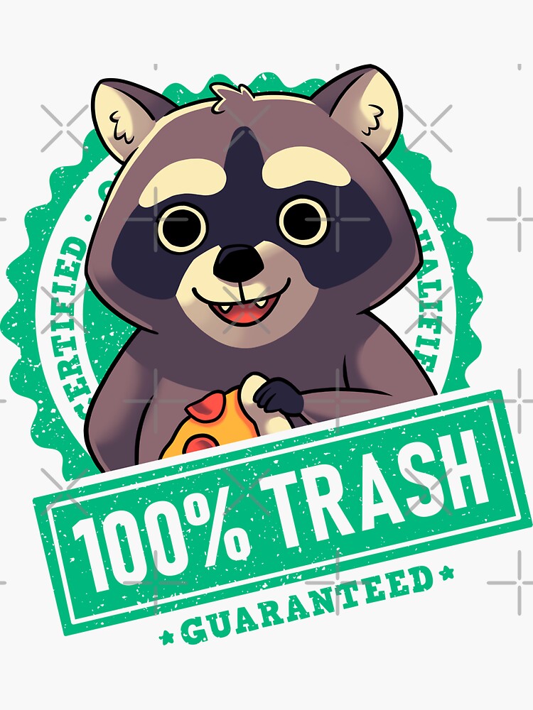 Raccoon Stickers, Raccoon, Trash Panda, Cute Stickers 