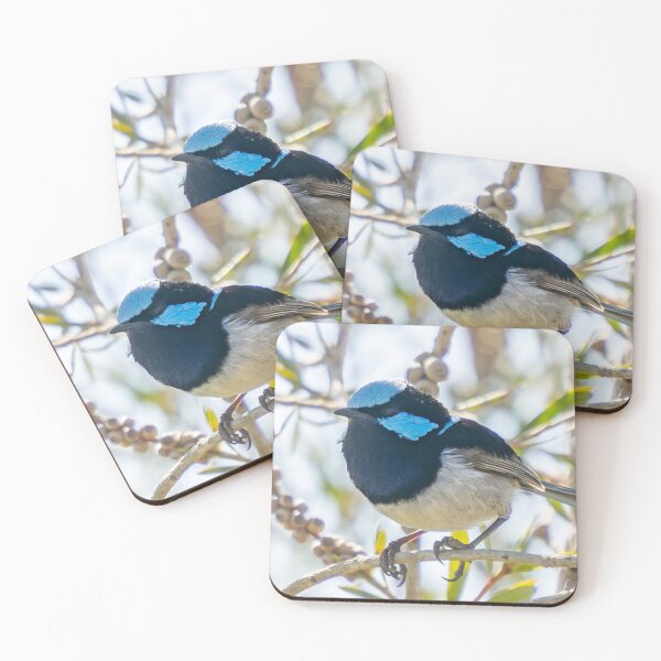 Item preview, Superb fairy wren portrait (side) designed and sold by Cornishinoz.
