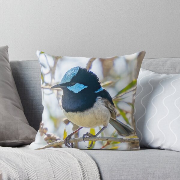 Item preview, "What are you looking at ?!" Superb fairy wren portrait  designed and sold by Cornishinoz.