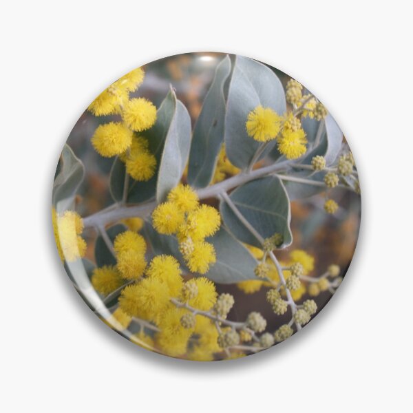 Artikelvorschau, Wattle entworfen und verkauft von Elisabeth Dubois.