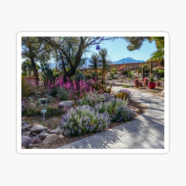 Item preview, Spring in the Arid Garden designed and sold by Linda Gregory.