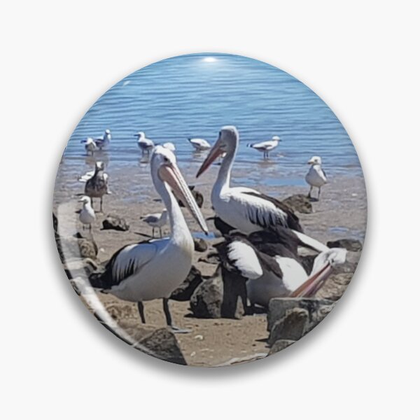 Item preview, Pelicans Hanging Around On The Foreshore designed and sold by sunnybandana.