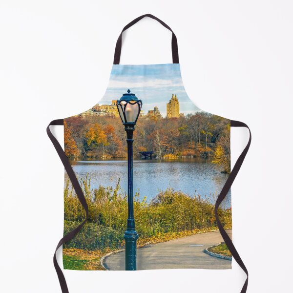Aperçu de l'œuvre Vue de Central Park, New York en automne créée et vendue par Itsgrimupnorth.