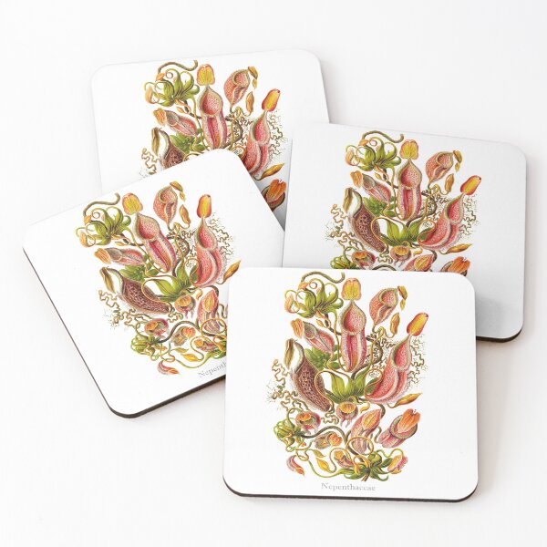 Item preview, Haeckels' Nepenthaceae (tropical pitcher plants) designed and sold by Ecologos.