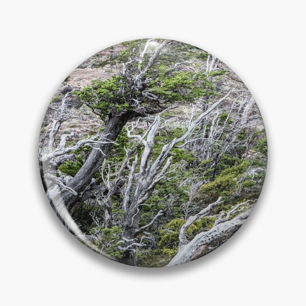 Item preview, Windswept Woodland designed and sold by Dave Hare Photography.