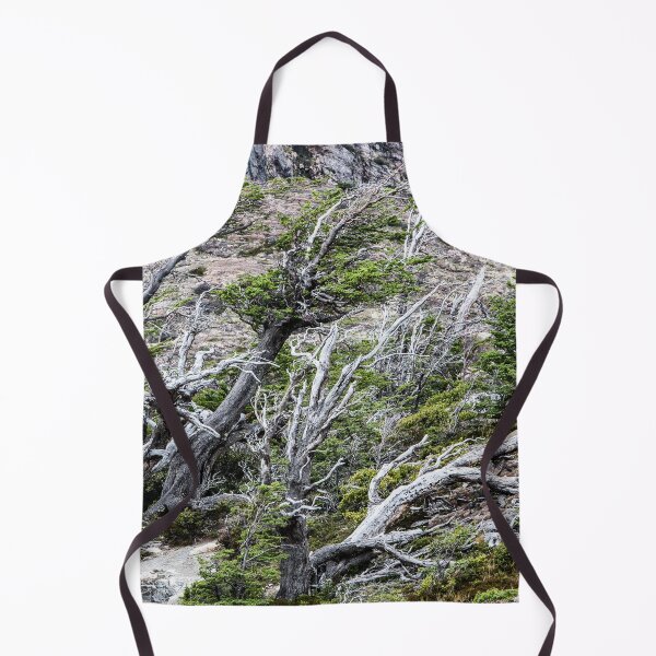 Item preview, Windswept Woodland designed and sold by Dave Hare Photography.