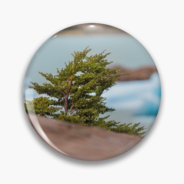 Item preview, Patagonian Tree designed and sold by Dave Hare Photography.