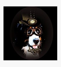 5. Cheerful Steampunk Bernese Mountain Dog with Hat and Goggles Photographic Print