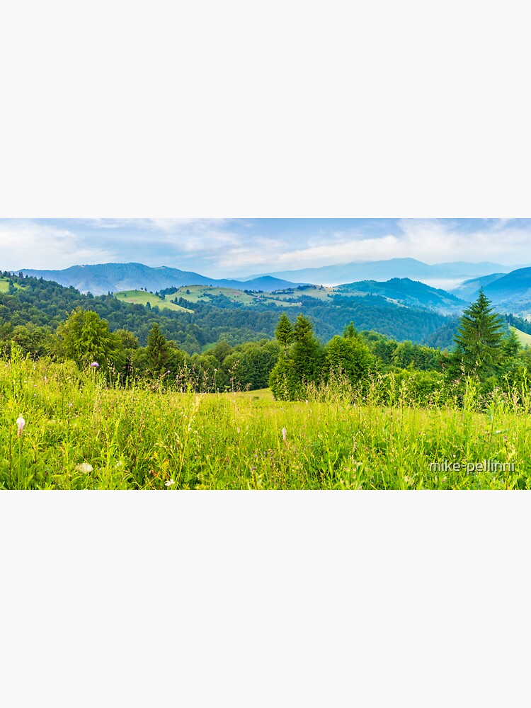 panorama of a beautiful meadow in mountains by mike-pellinni