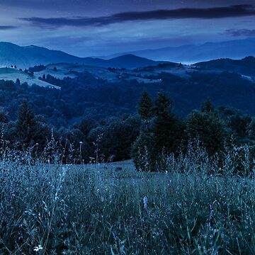 Artwork thumbnail, panorama of a meadow in mountains at night by mike-pellinni