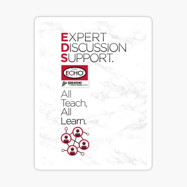 EDS ECHO - Expert Discussion Support. Sticker