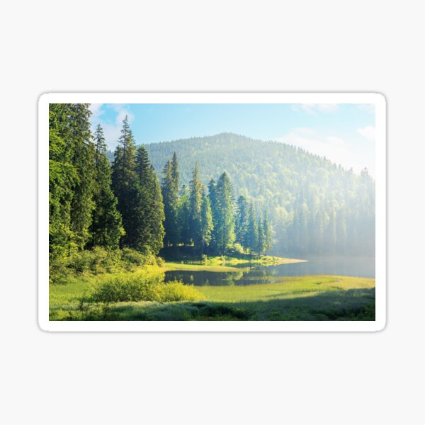 amazing landscape with mountain lake among forest Sticker
