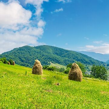 Artwork thumbnail, haystacks on a grassy hill in summer by mike-pellinni