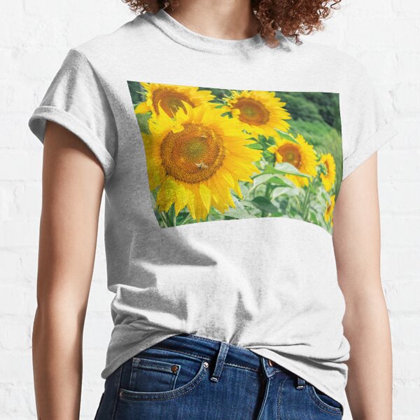 sunflowers in the field Classic T-Shirt