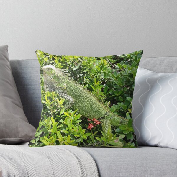 Item preview, Iguana Ask You A Question designed and sold by QueenBeeDieter.