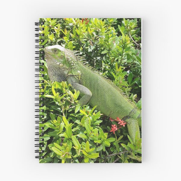 Item preview, Iguana Ask You A Question designed and sold by QueenBeeDieter.