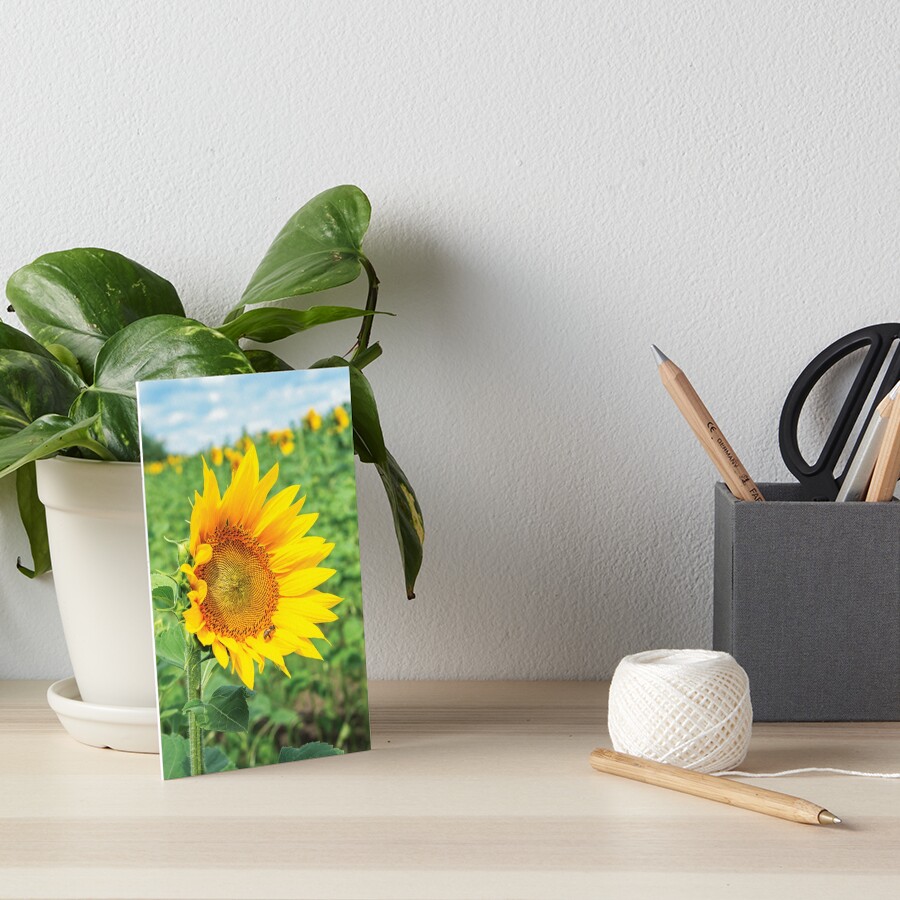 Item preview, Art Board Print designed and sold by mike-pellinni.