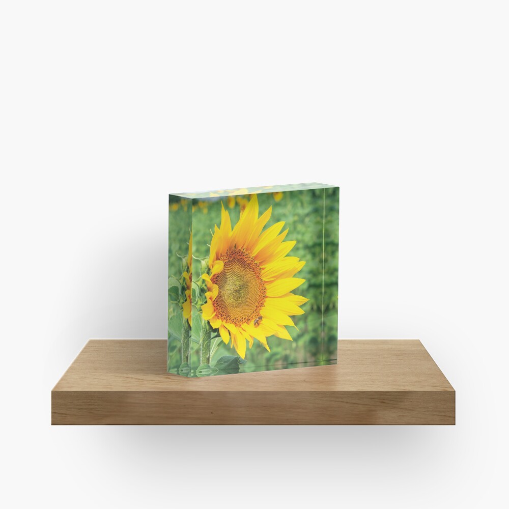 Item preview, Acrylic Block designed and sold by mike-pellinni.