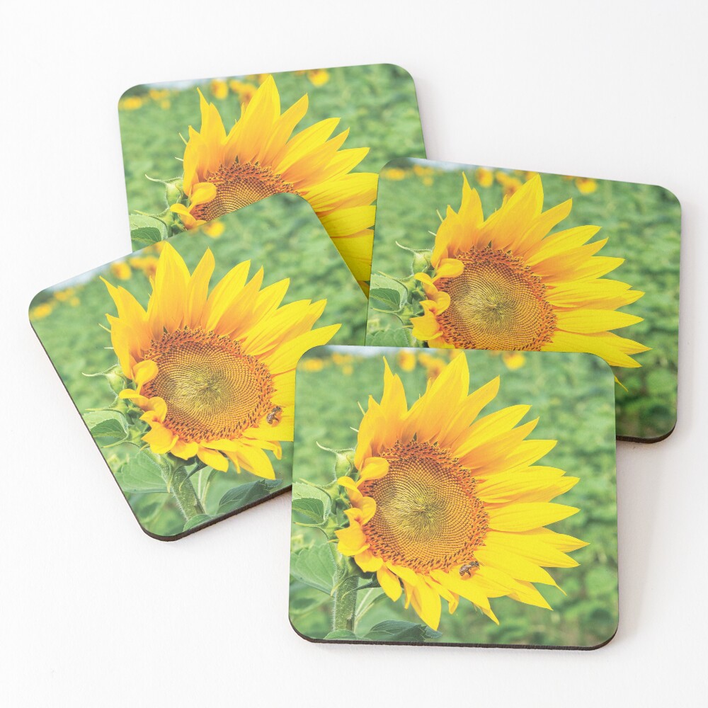 Item preview, Coasters (Set of 4) designed and sold by mike-pellinni.