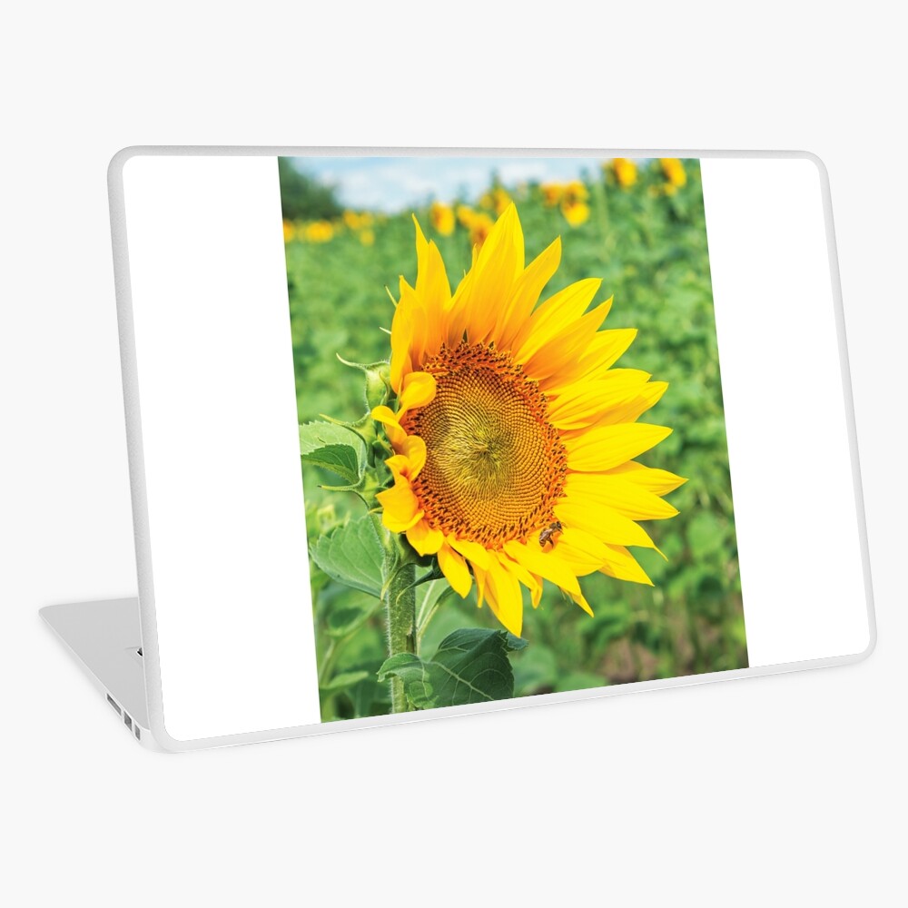 Item preview, Laptop Skin designed and sold by mike-pellinni.