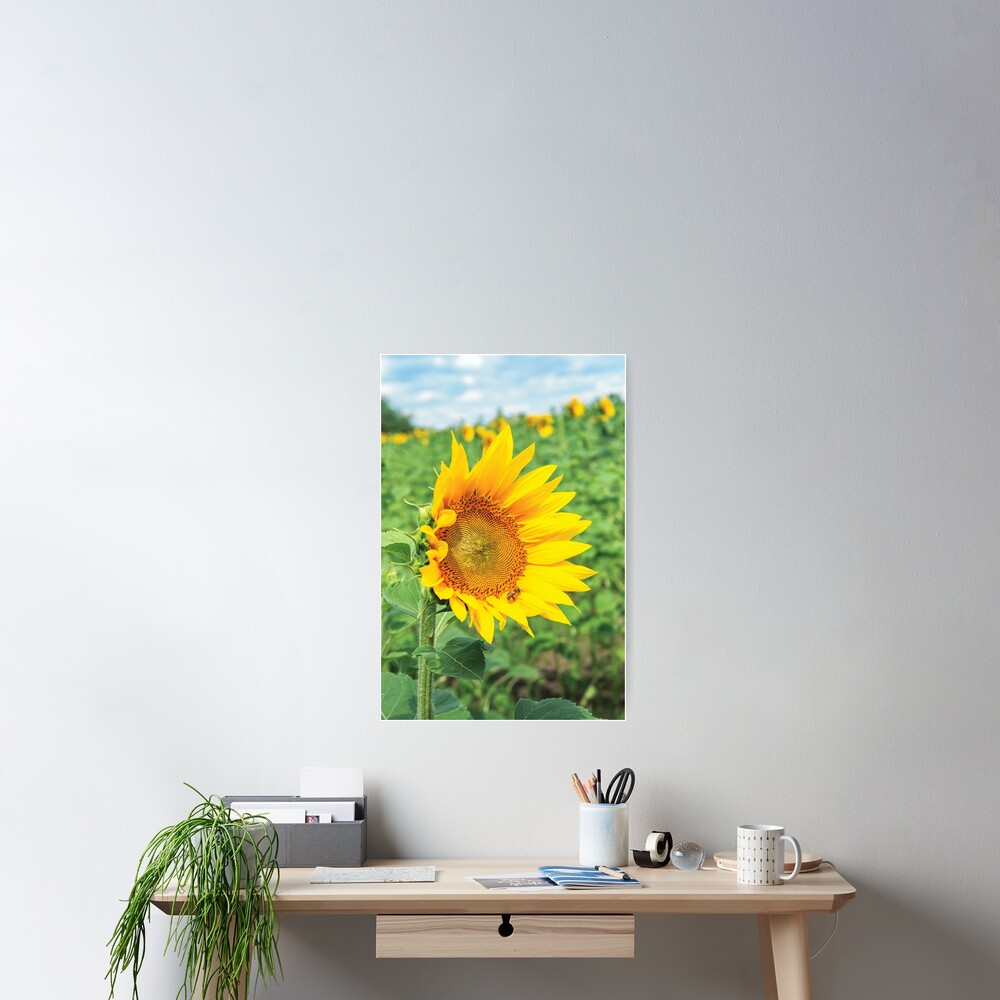 Item preview, Poster designed and sold by mike-pellinni.