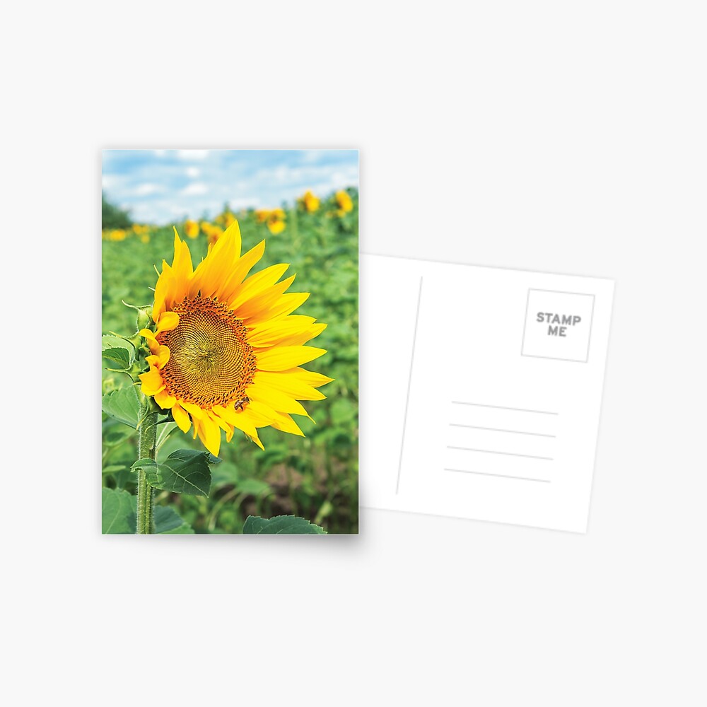 Item preview, Postcard designed and sold by mike-pellinni.