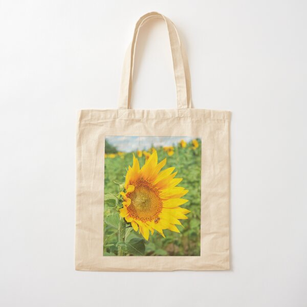 Ripe sunflower in the field Cotton Tote Bag