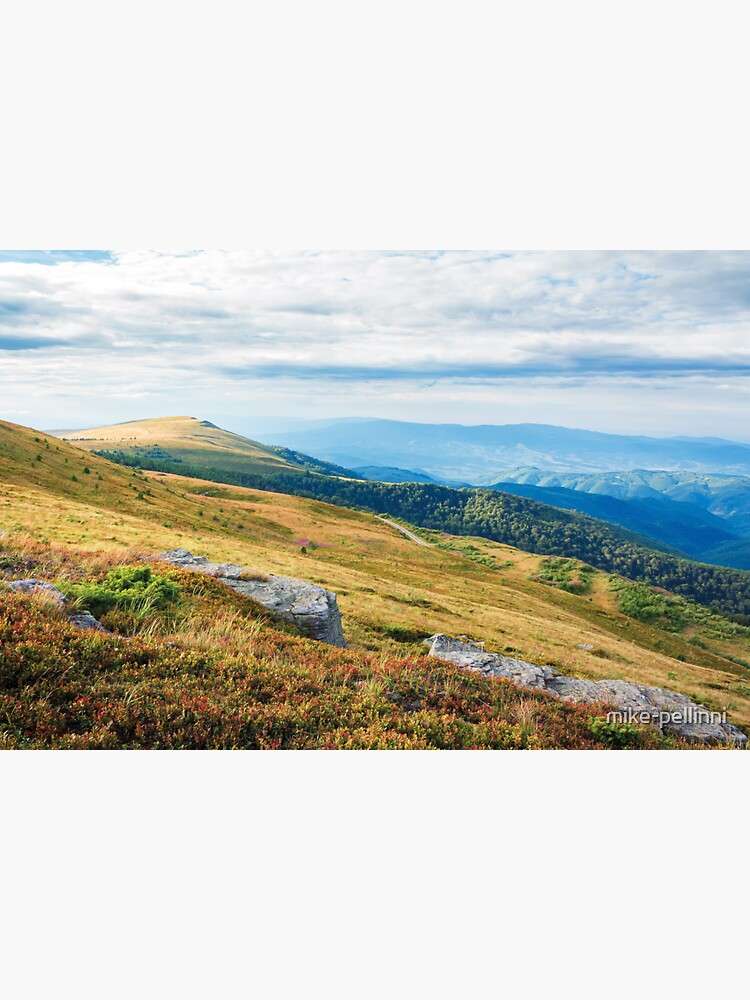 rocks on the grassy meadow in mountains by mike-pellinni