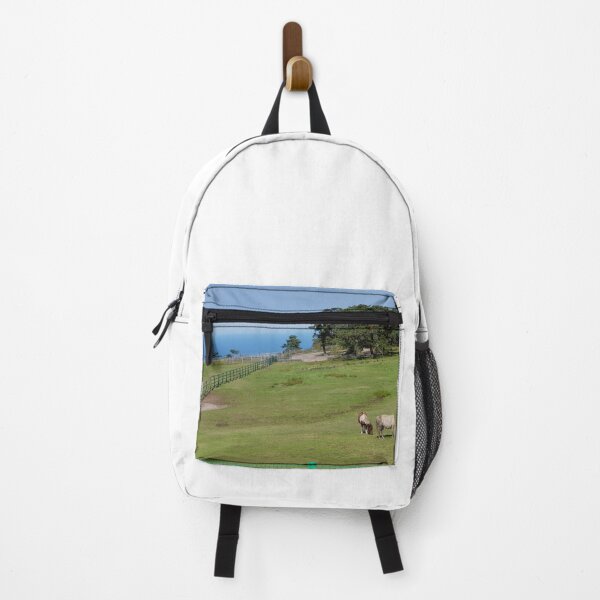Item preview, a vast ranch designed and sold by KY Song.
