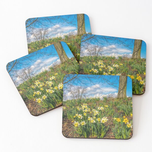 Item preview, Daffodils in Spring in Yorkshire,UK designed and sold by Itsgrimupnorth.