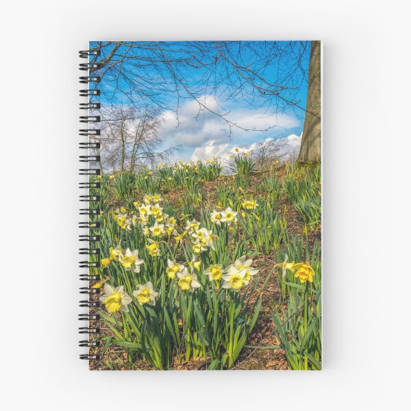 Item preview, Daffodils in Spring in Yorkshire,UK designed and sold by Itsgrimupnorth.
