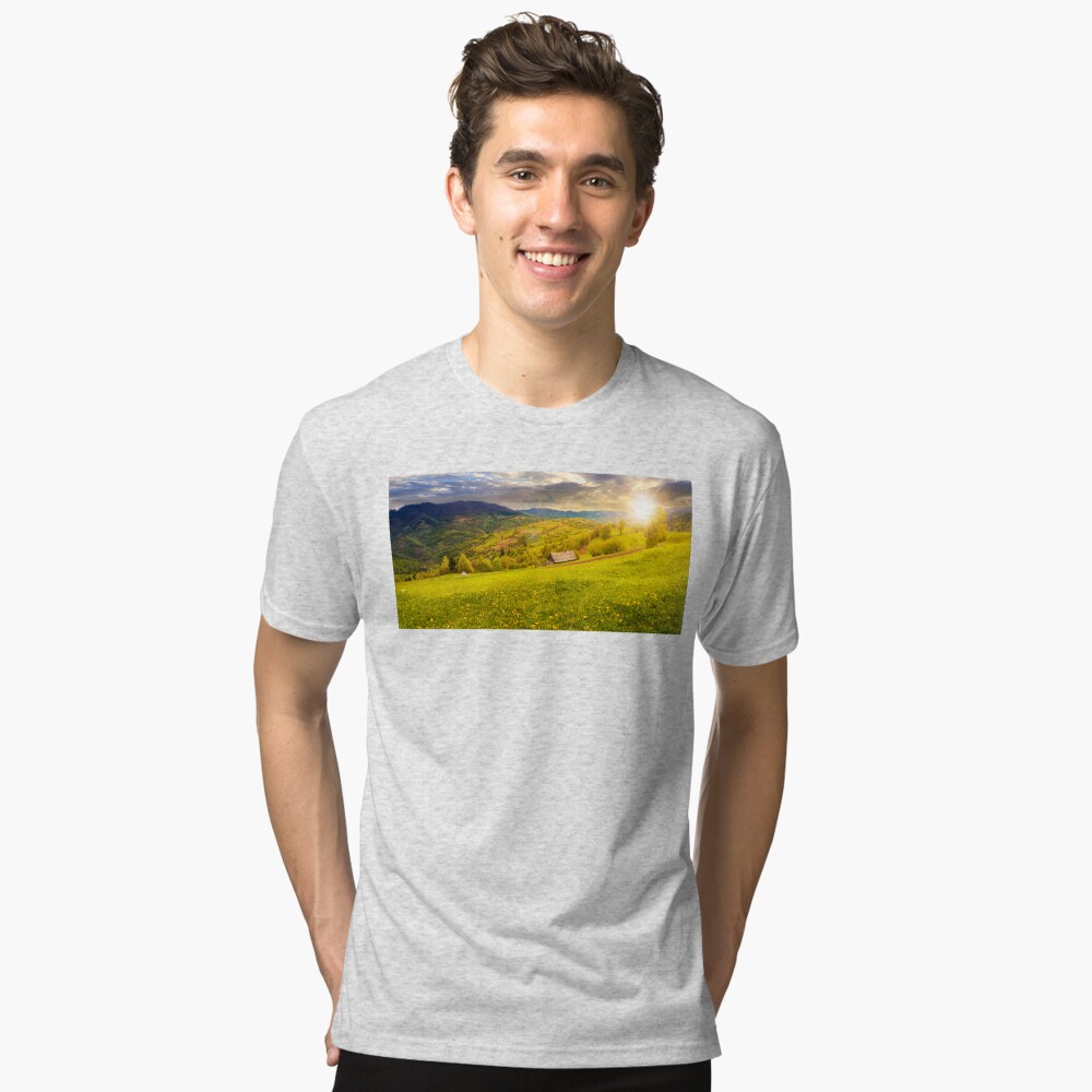 Item preview, Tri-blend T-Shirt designed and sold by mike-pellinni.
