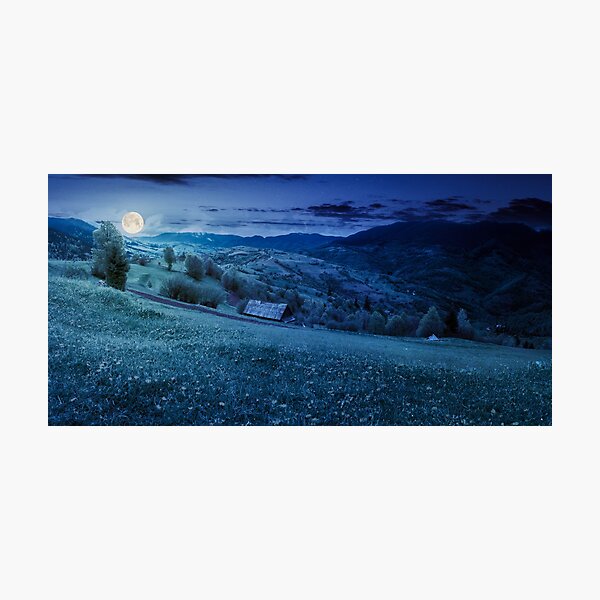 dandelions on rural field in mountains at night Photographic Print