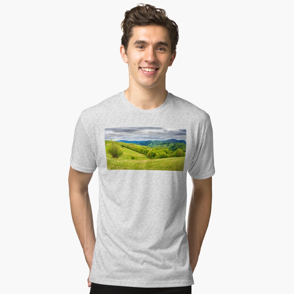Item preview, Tri-blend T-Shirt designed and sold by mike-pellinni.