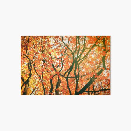 Autumn Leaves Art Board Print