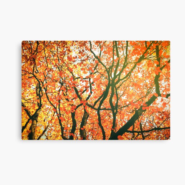 Autumn Leaves Canvas Print