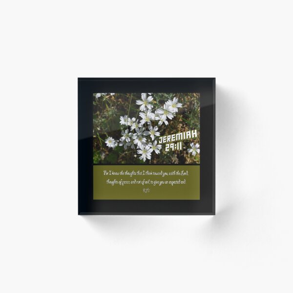 Jeremiah 29 Thoughts of peace Acrylic Block