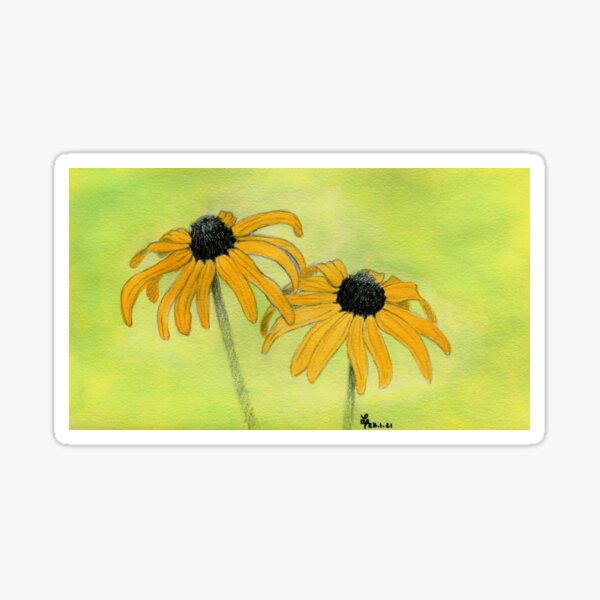 Blumenstudie Sonnenhut Sticker