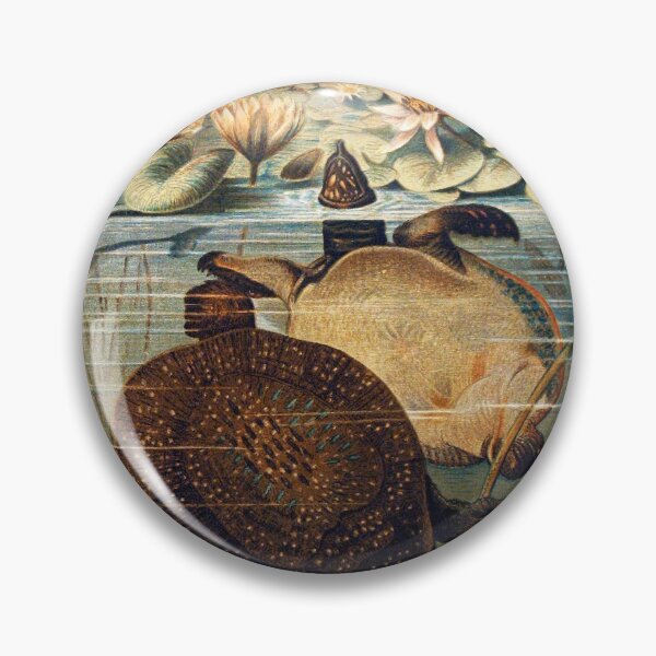 Artikelvorschau, Soft shell Turtles vintage illustration  entworfen und verkauft von Vintage Designs +.
