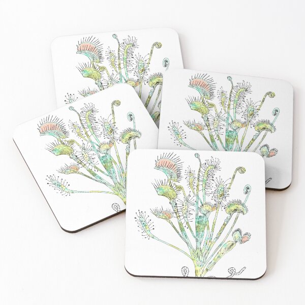 Item preview, Carnivorous plants designed and sold by WildDot.