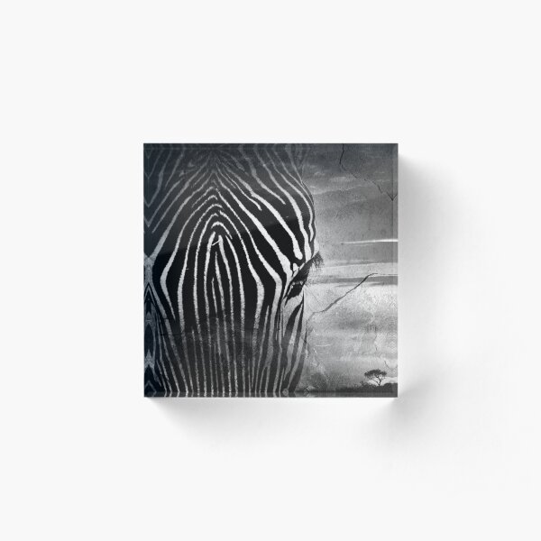 <<zebra in schwarzweiß Acrylblock