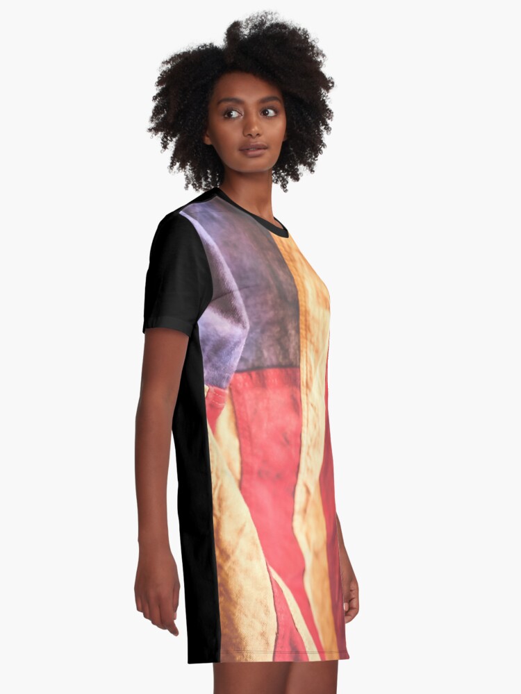 Alternate view of American Old Flag Graphic T-Shirt Dress