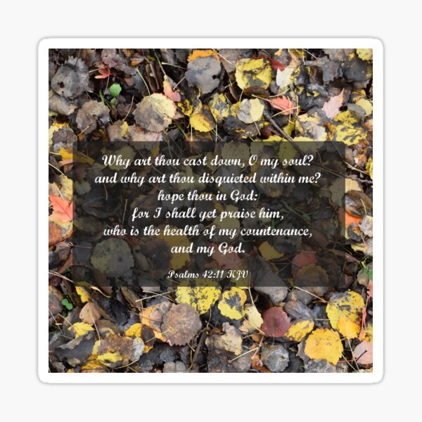 Psalms 42:11 I shall yet praise Him Sticker
