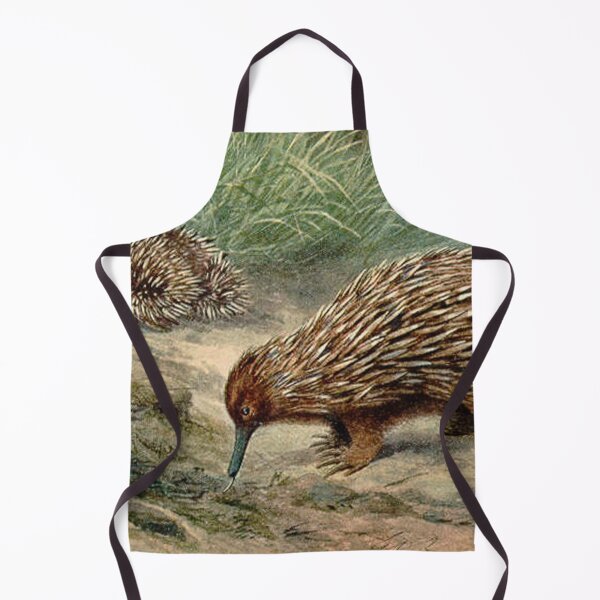 Item preview, Echidna vintage illustration designed and sold by Vintage Designs +.
