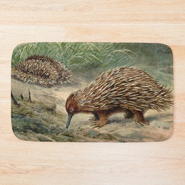 Item preview, Echidna vintage illustration  designed and sold by Vintage Designs +.