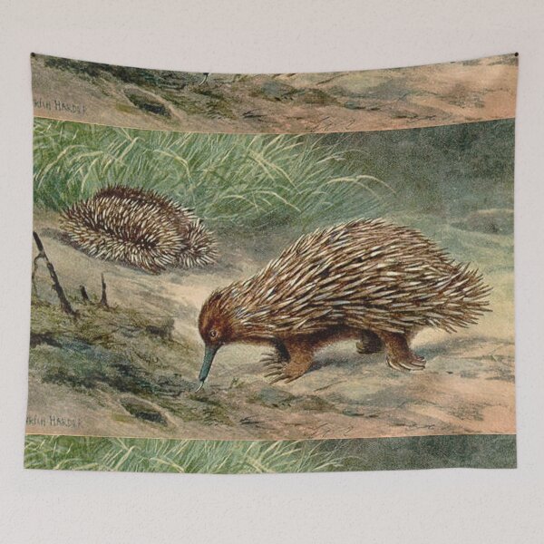 Item preview, Echidna vintage illustration designed and sold by Vintage Designs +.