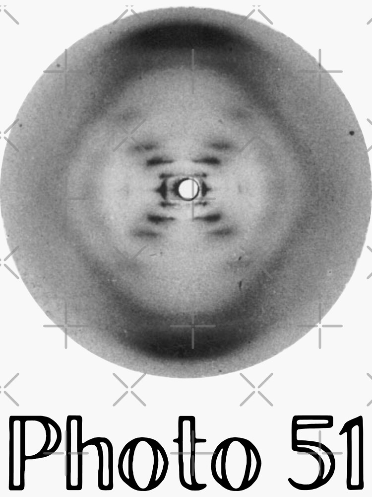 rosalind franklin x ray diffraction on dna