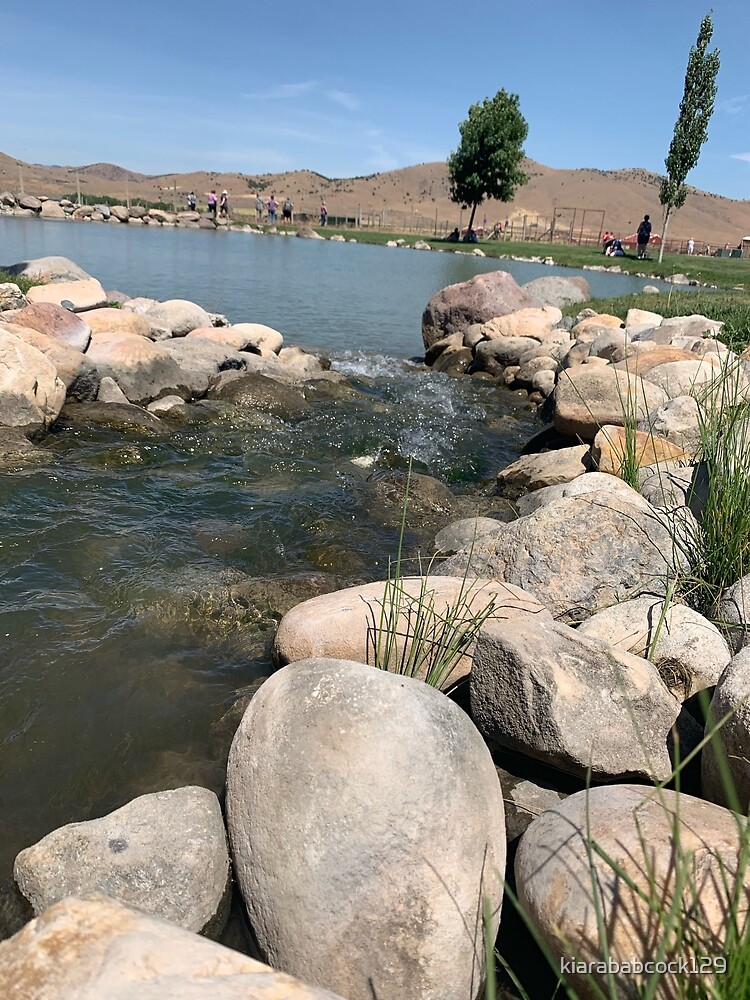 "Young Living Mona, Utah" Poster for Sale by kiarababcock129 Redbubble