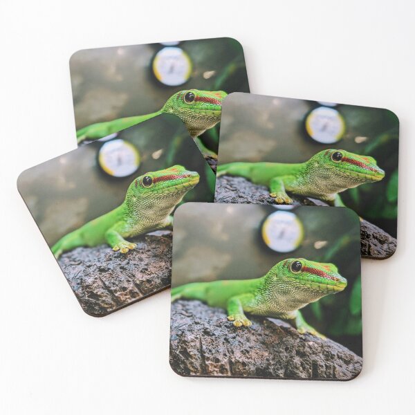 Item preview, Scaly Companion designed and sold by 9Amaryllis6.